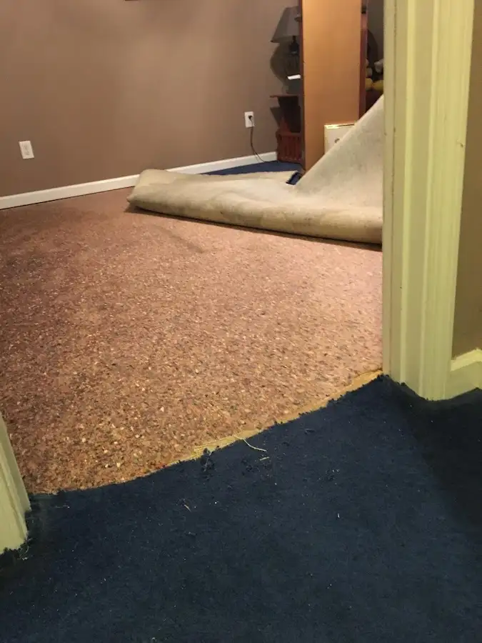 Carpet pad removal revealing water damage during Water Mitigation Services in Shiprock